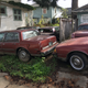The proprietor of this backyard junkyard seems to have a particular affinity for Oldsmobiles